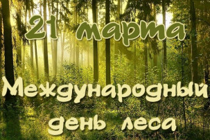 МЕЖДУНАРОДНЫЙ ДЕНЬ ЛЕСА МЕЖДУНАРОДНЫЙ ДЕНЬ ЛЕСА.